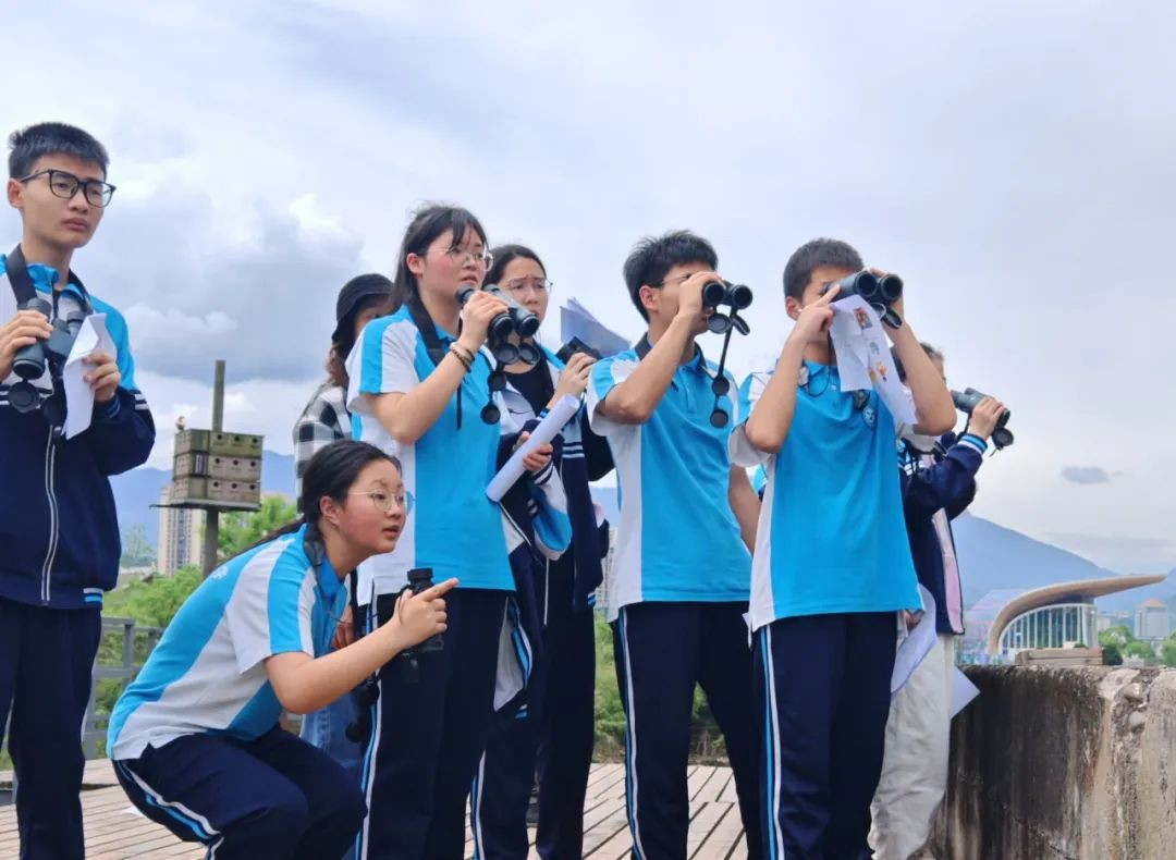 图片11.png 图片11.png