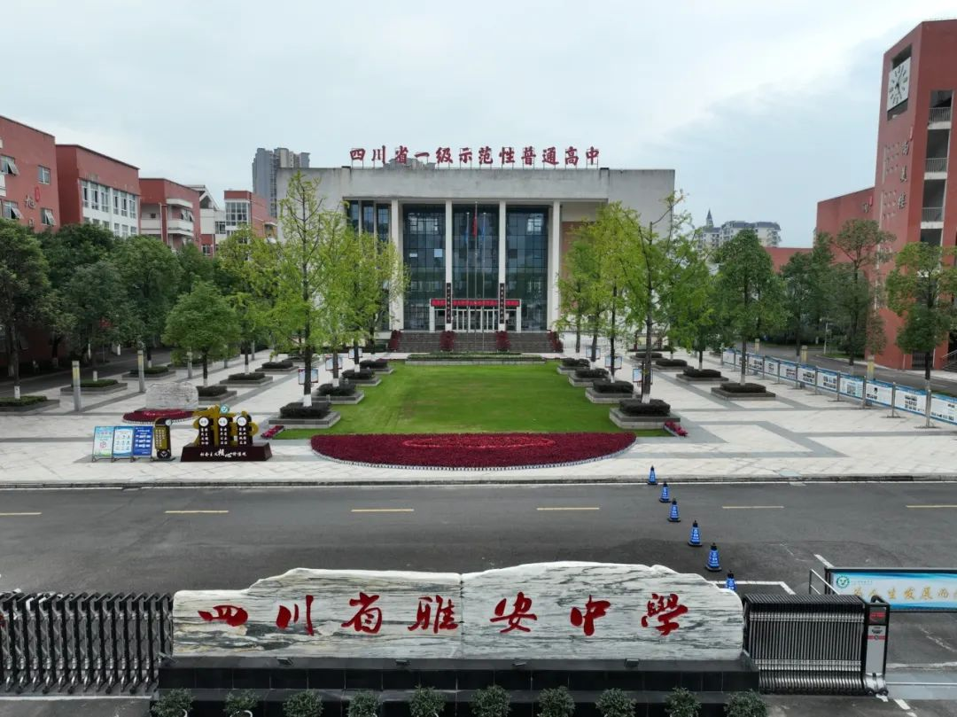 图片19.png